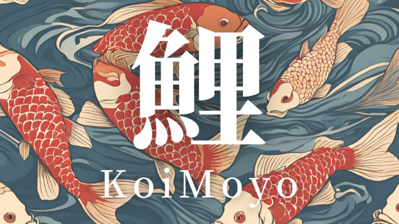 KoiMoyo